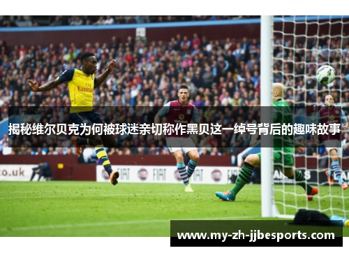 揭秘维尔贝克为何被球迷亲切称作黑贝这一绰号背后的趣味故事