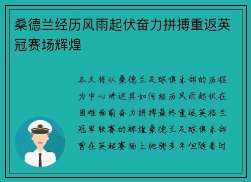 桑德兰经历风雨起伏奋力拼搏重返英冠赛场辉煌